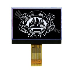 2.2 inch graphic COG display