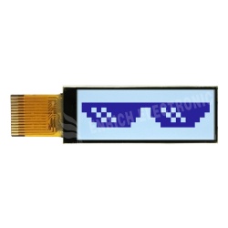 2.2 inch graphic COG display